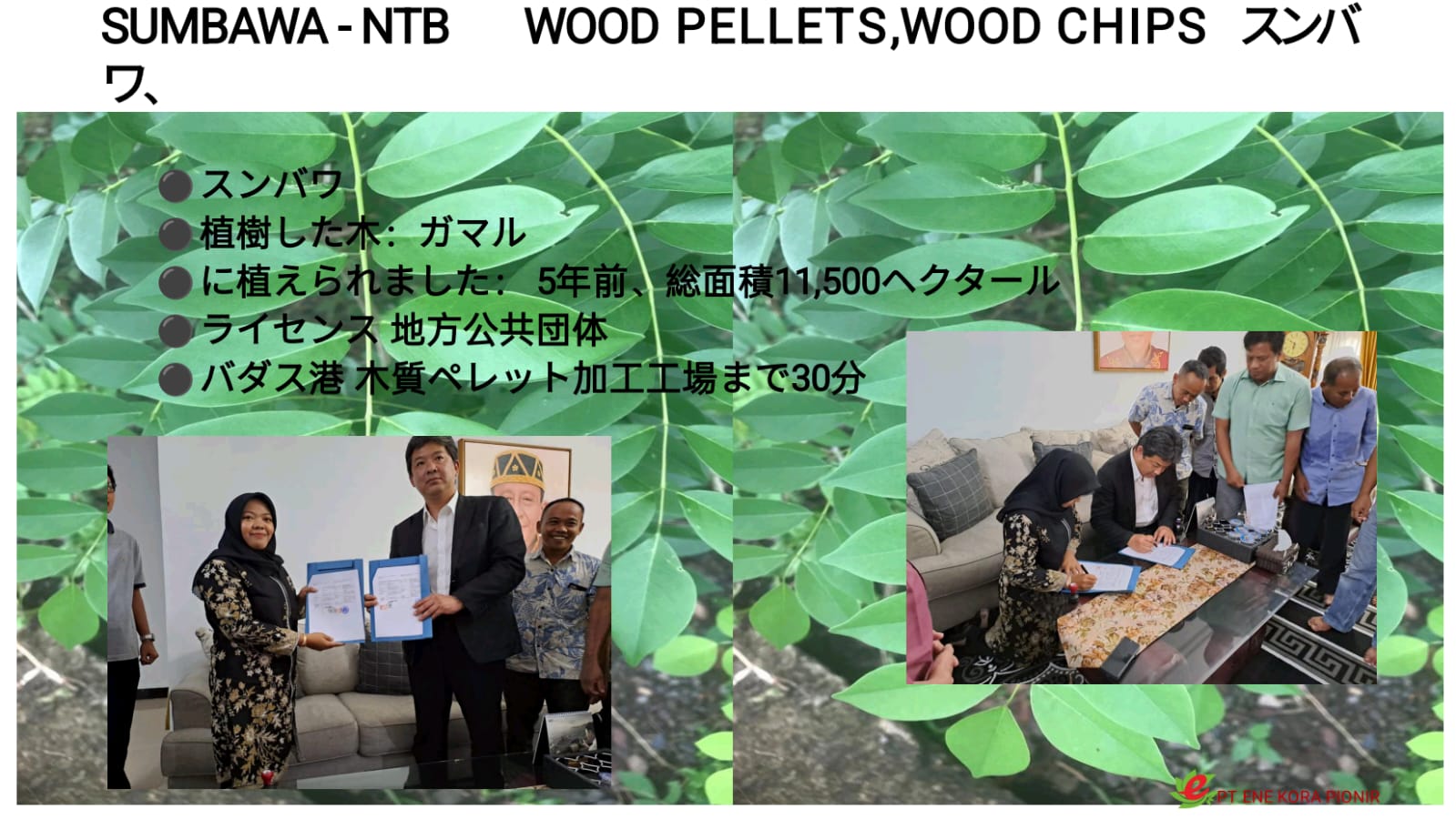Ene Kora Pionir operations in Sumbawa — NTB — wood pellets and wood chips partnership signing
